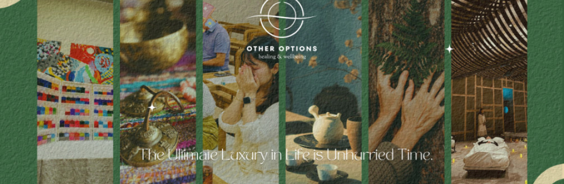 Other Options Healing and Coaching Cover Image