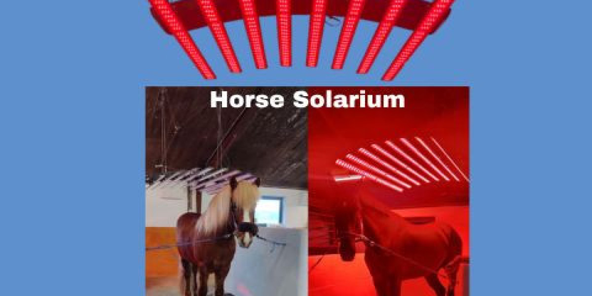 Enhance Equine Care with a Premium Horse Solarium Device