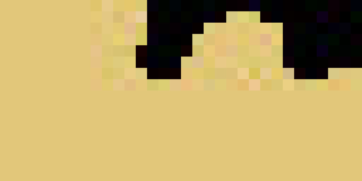 Born x Raised® Official Clothing || Sale Up To 40% Off