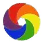 Remote Developer Profile Picture