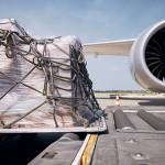 EB Logistics Profile Picture