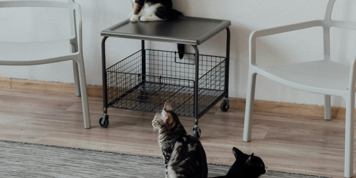 eznpc How to Get a 120 lb Backpack in Fallout 76