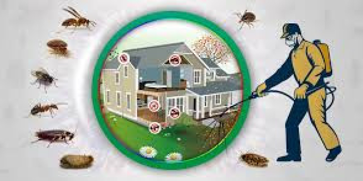 Effective Cockroach Control Solutions for a Healthy Environment in Lahore