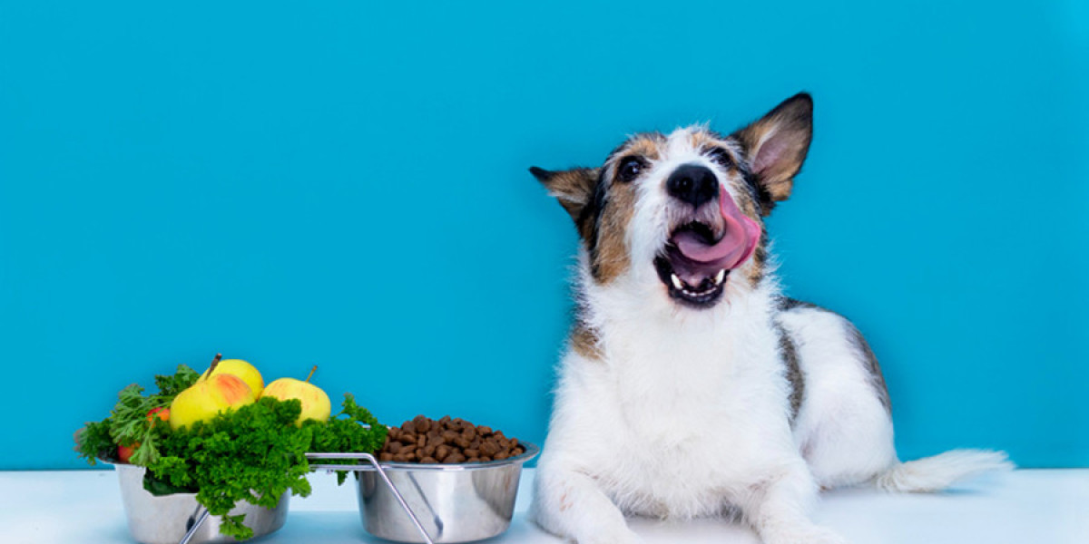 The Benefits of Raw Dog Food Diets: Is It Worth the Hype?