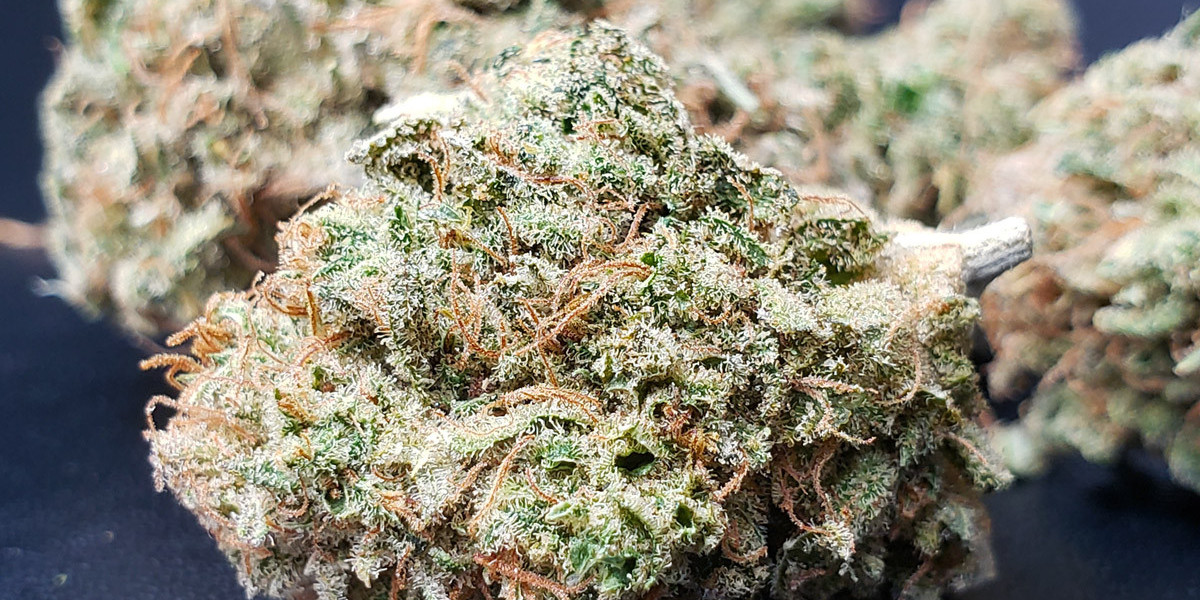 Strain Recommendations Niagara Falls, NY