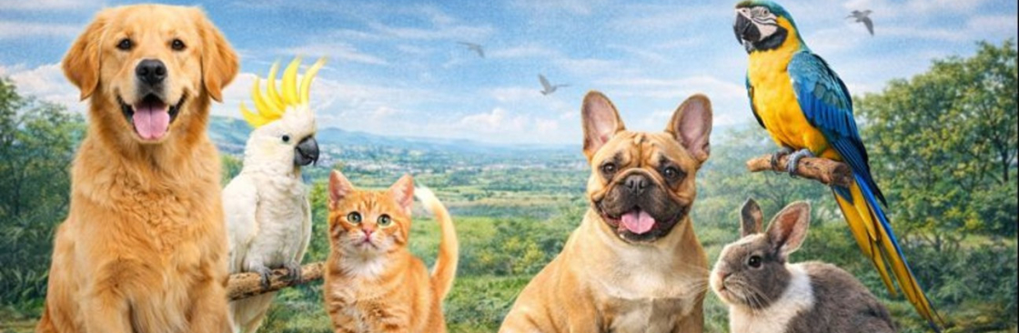 janani devi devi Cover Image