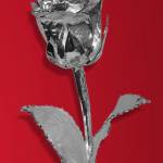 Jamie Smith Profile Picture