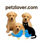 vinitha j Profile Picture