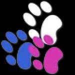 Bruce Street Animal Hospital Profile Picture