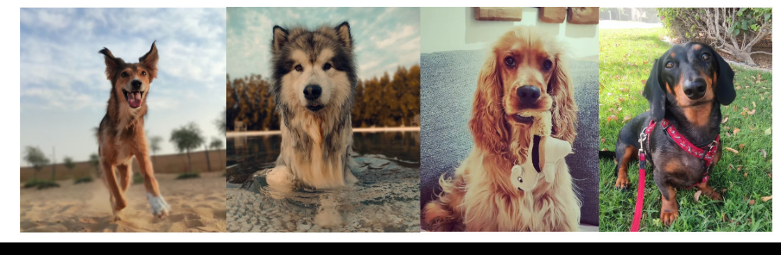 well Behaved Cover Image