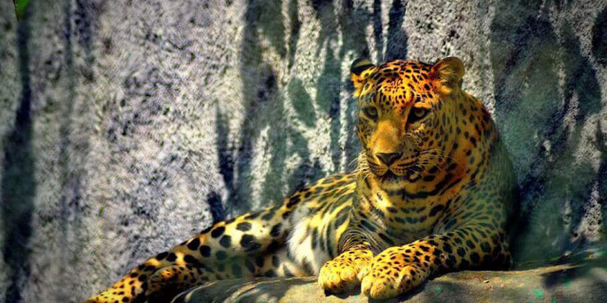 Madhya Pradesh Tour Packages for Wildlife, Heritage & Spiritual Travel