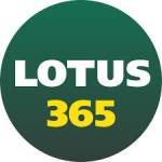 lotus365 india Profile Picture