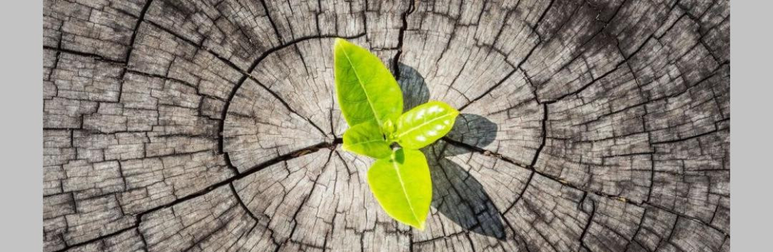 MADE FOR RELATIONSHIPS Cover Image