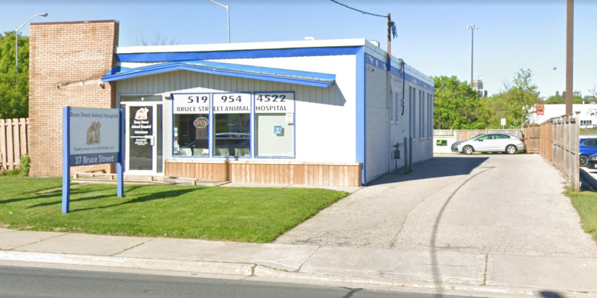 Pet Vaccinations in Kitchener: Protecting Your Cat and Dog’s Health