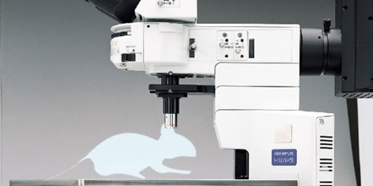 Diagnostic Equipment Distributors Empowering Modern Healthcare in India