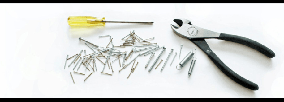 Repair Master Master Cover Image