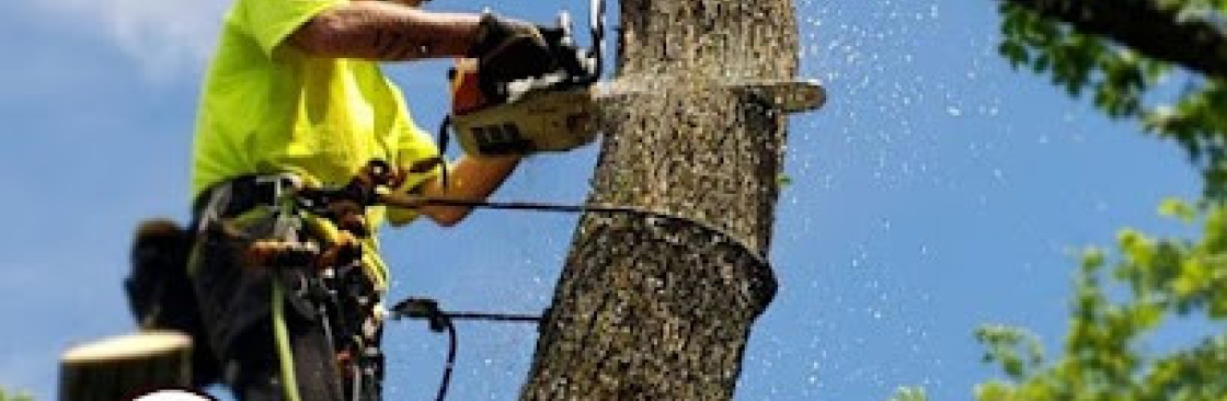 Alpha Arborcare LLC Cover Image