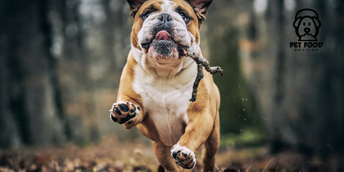 Best Natural Dog Dental Chews for Fresher Breath