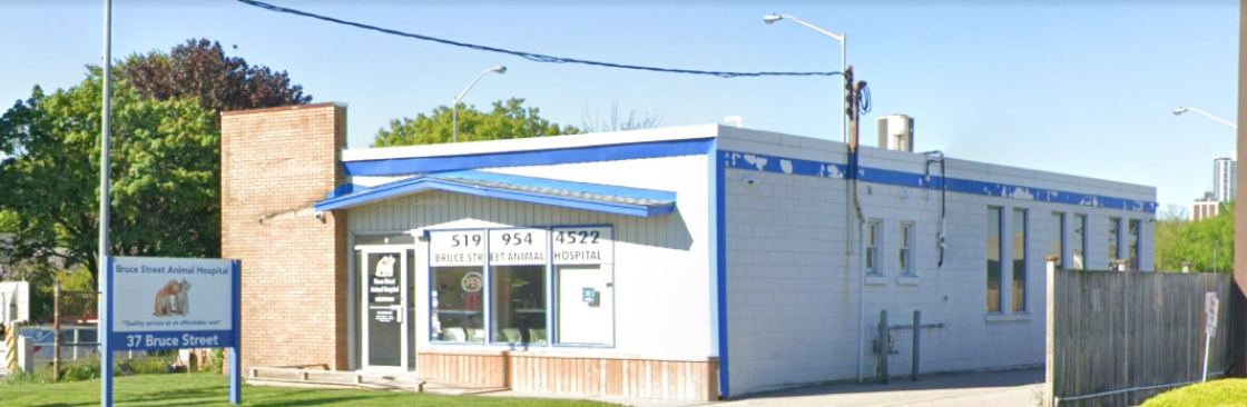 Bruce Street Animal Hospital Cover Image