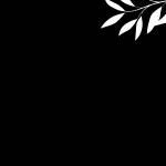 Yana Skin Care Care Profile Picture