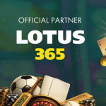 lotus365 official Profile Picture