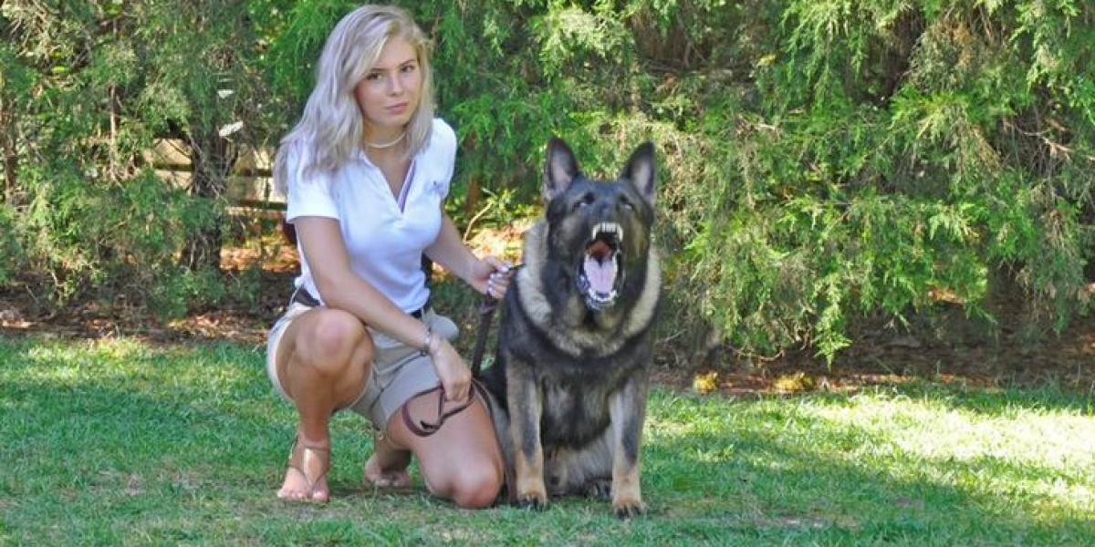 How a Trained German Shepherd for Sale Provides Security and Companionship