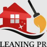 Pro Cleaning1 Profile Picture