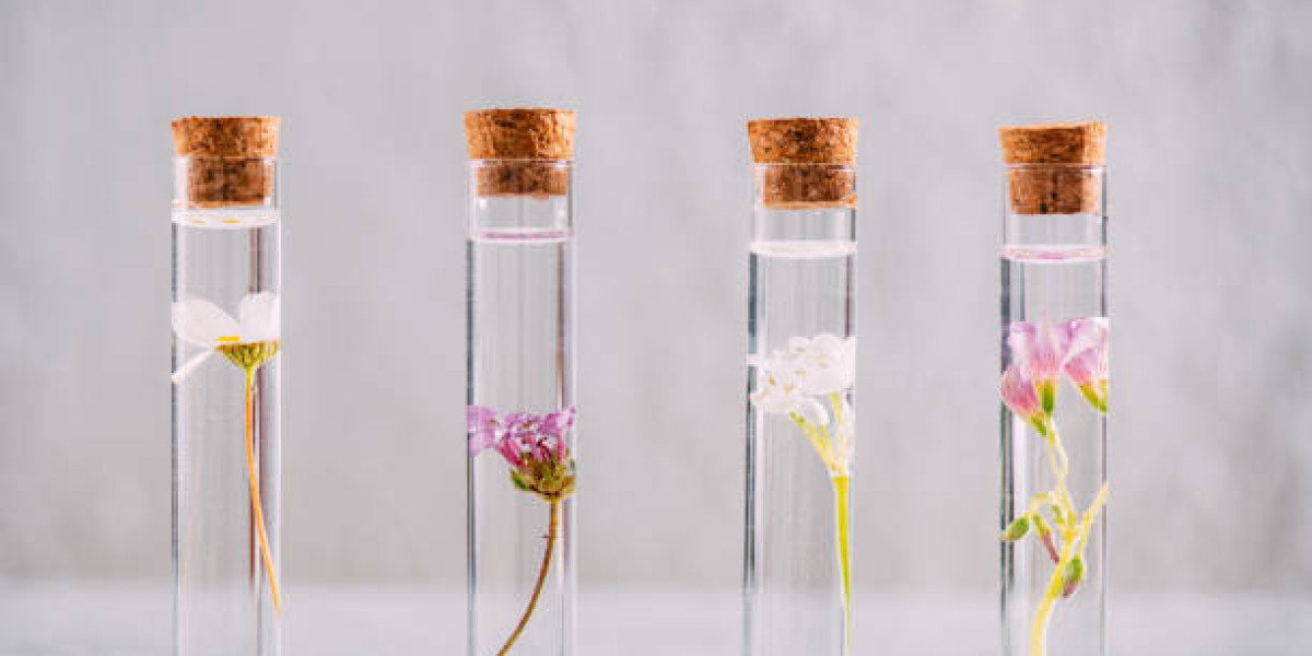 Market Dynamics Affecting the Fragrance Ingredients Sector