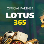 lotus365viplogin registration profile picture
