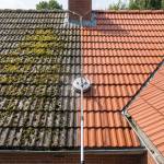 Tile Roof Cleaning Profile Picture