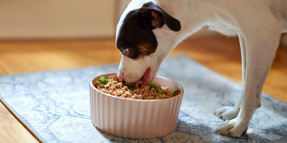 Buy Science Diet Dog Food for Healthy, Shiny Coat and Energy Boost